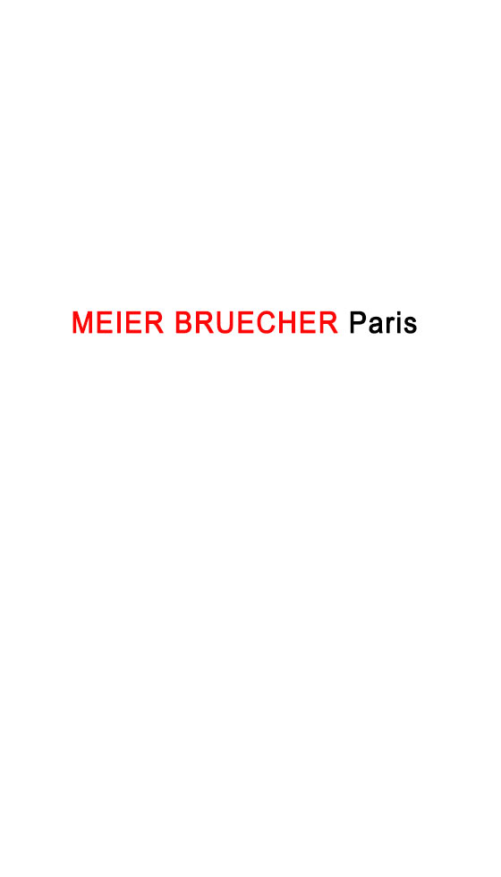 Meier Bruecher Logo