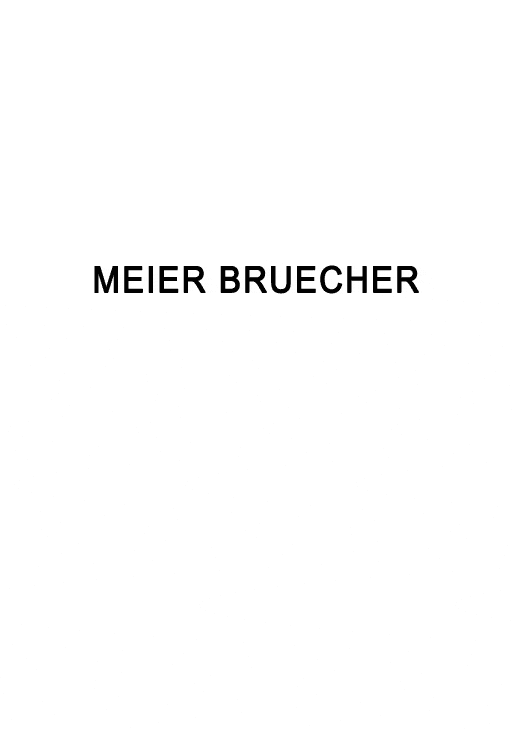 Cachil - Meier Bruecher Logo