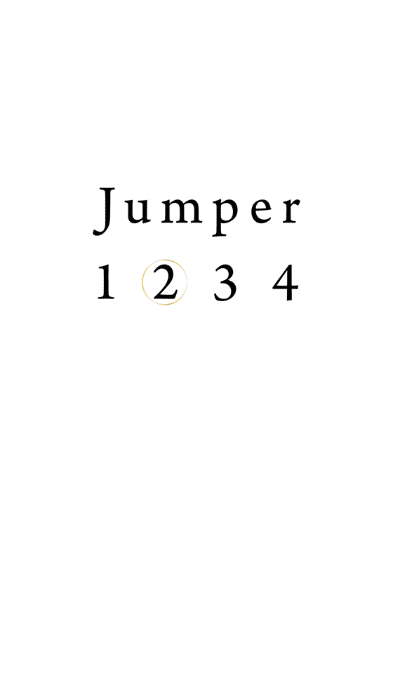 Logo Jumper 1234